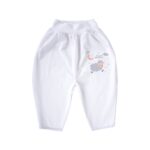 Potty Training Pants